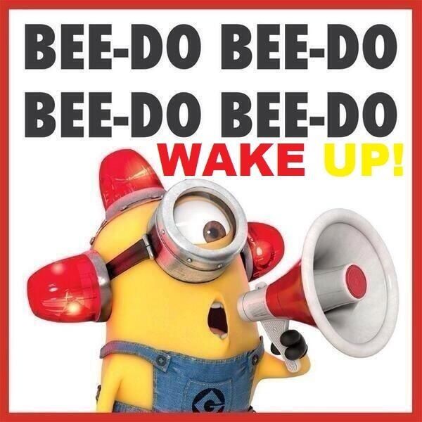 Good Morning Minion Good Morning Minion