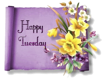 Happy Tuesday