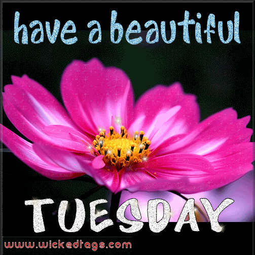 Have a beautiful Tuesday Have a beautiful Tuesday