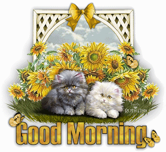Good Morning Good Morning
