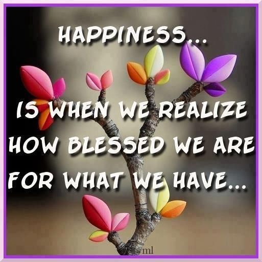 Happiness is when we realize how blessed we are for what we have Happiness is when we realize how blessed we are for what we have