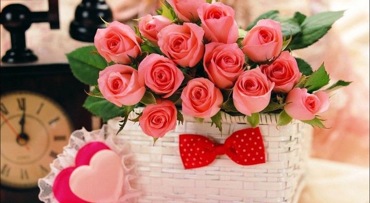 Pink Roses Pink Roses