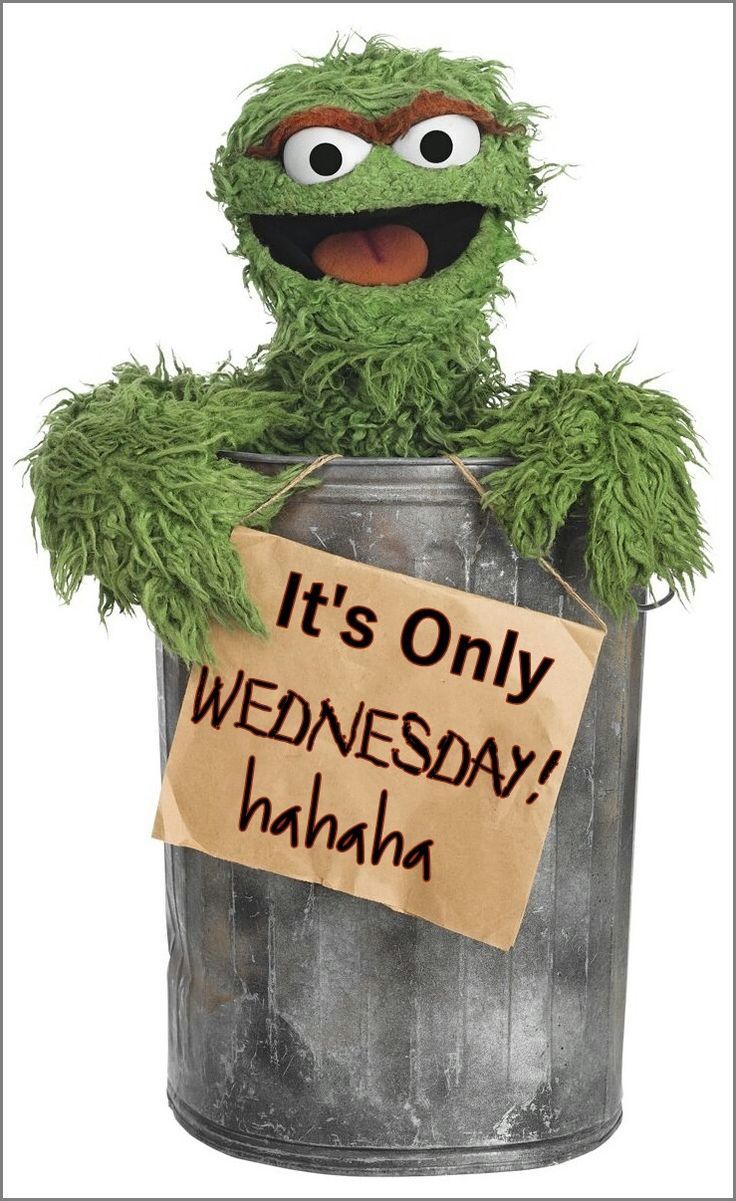 It's Only Wednesday It's Only Wednesday