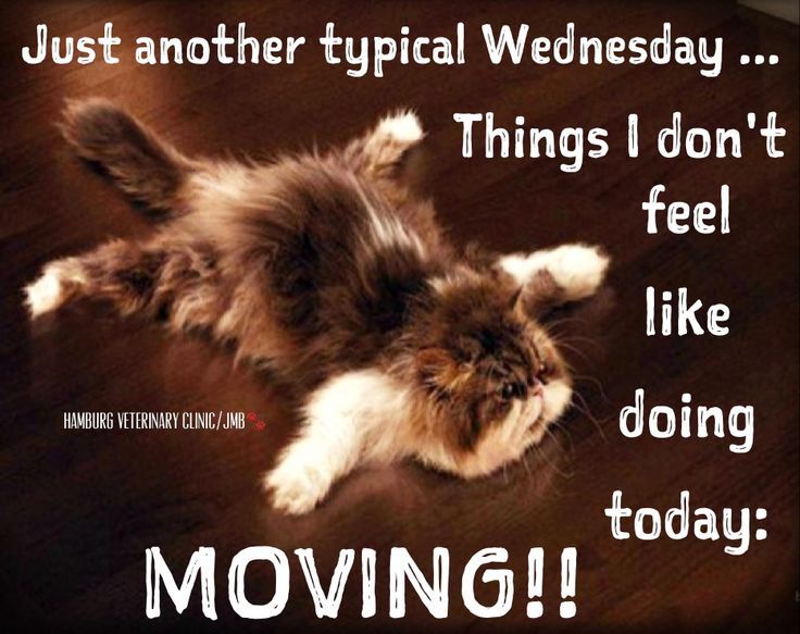 Another Wednesday Another Wednesday