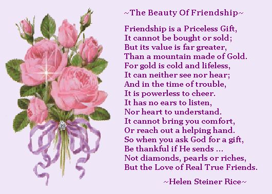 The Beauty of Friendship