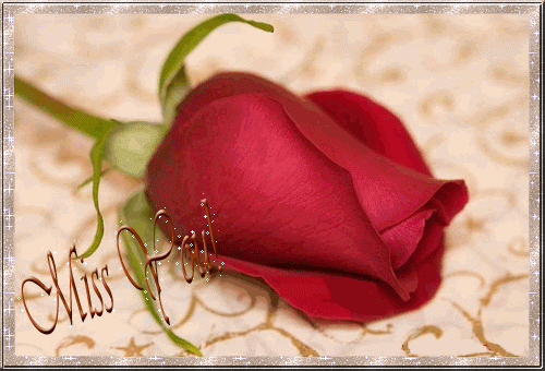 Miss You Miss You