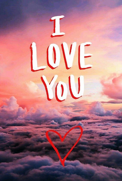 I love you I love you