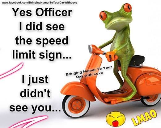 Yes officer Yes officer