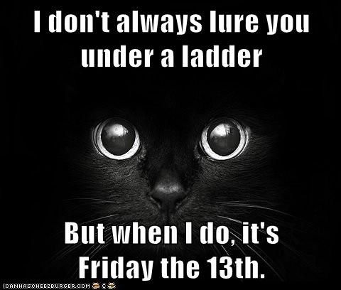 I don't always lure you under a ladder, but when I do, it's Friday the 13th I don't always lure you under a ladder, but when I do, it's Friday the 13th