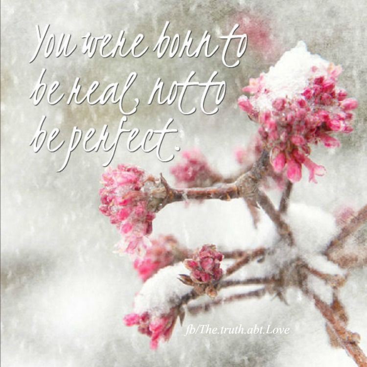 you were born to be real you were born to be real