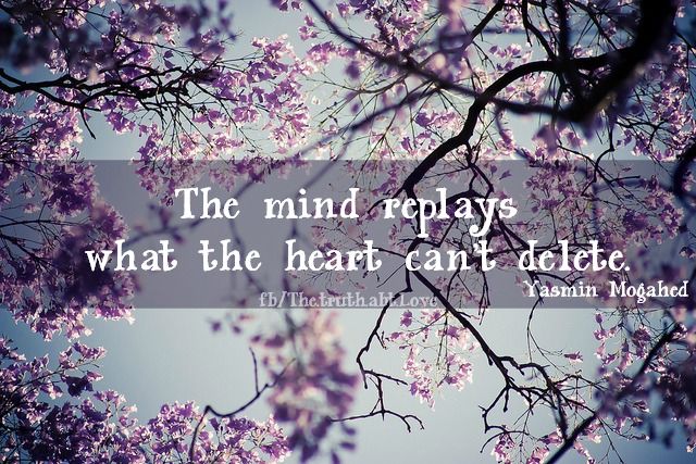 the mind the mind