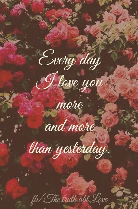 love you more and more love you more and more