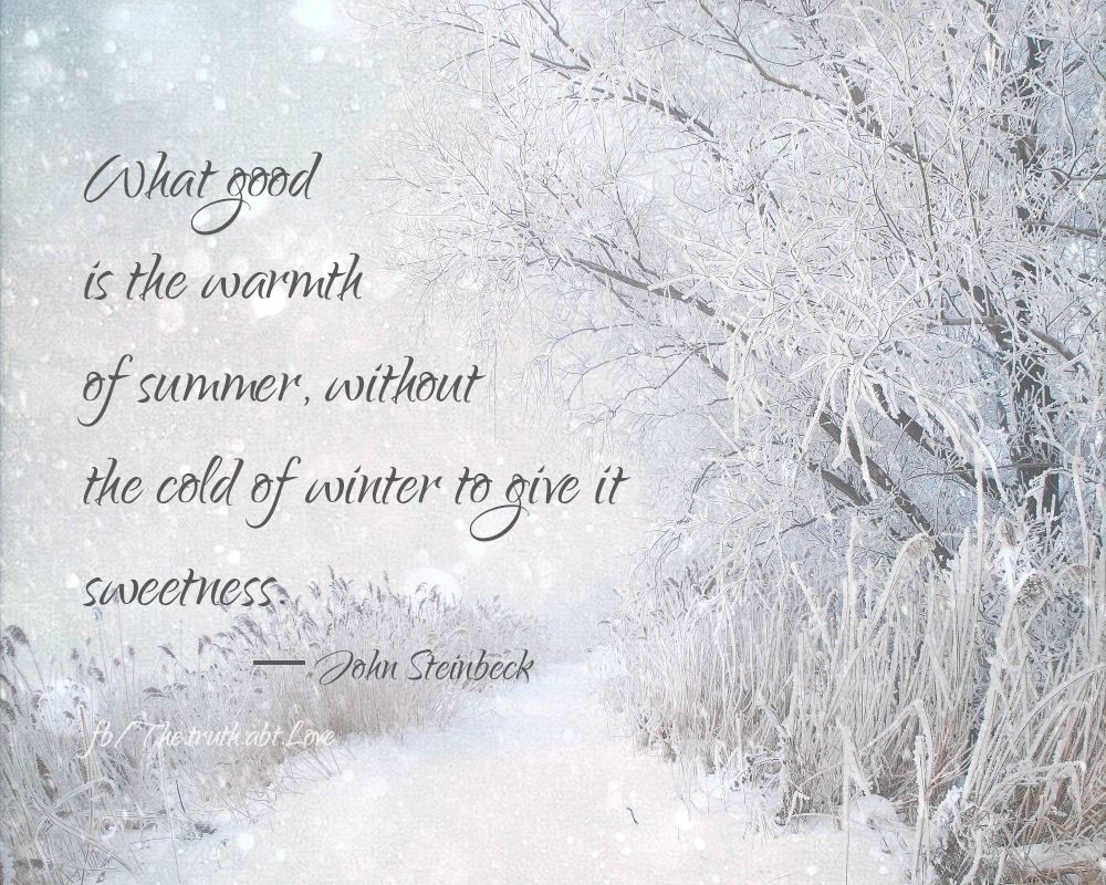 winter winter
