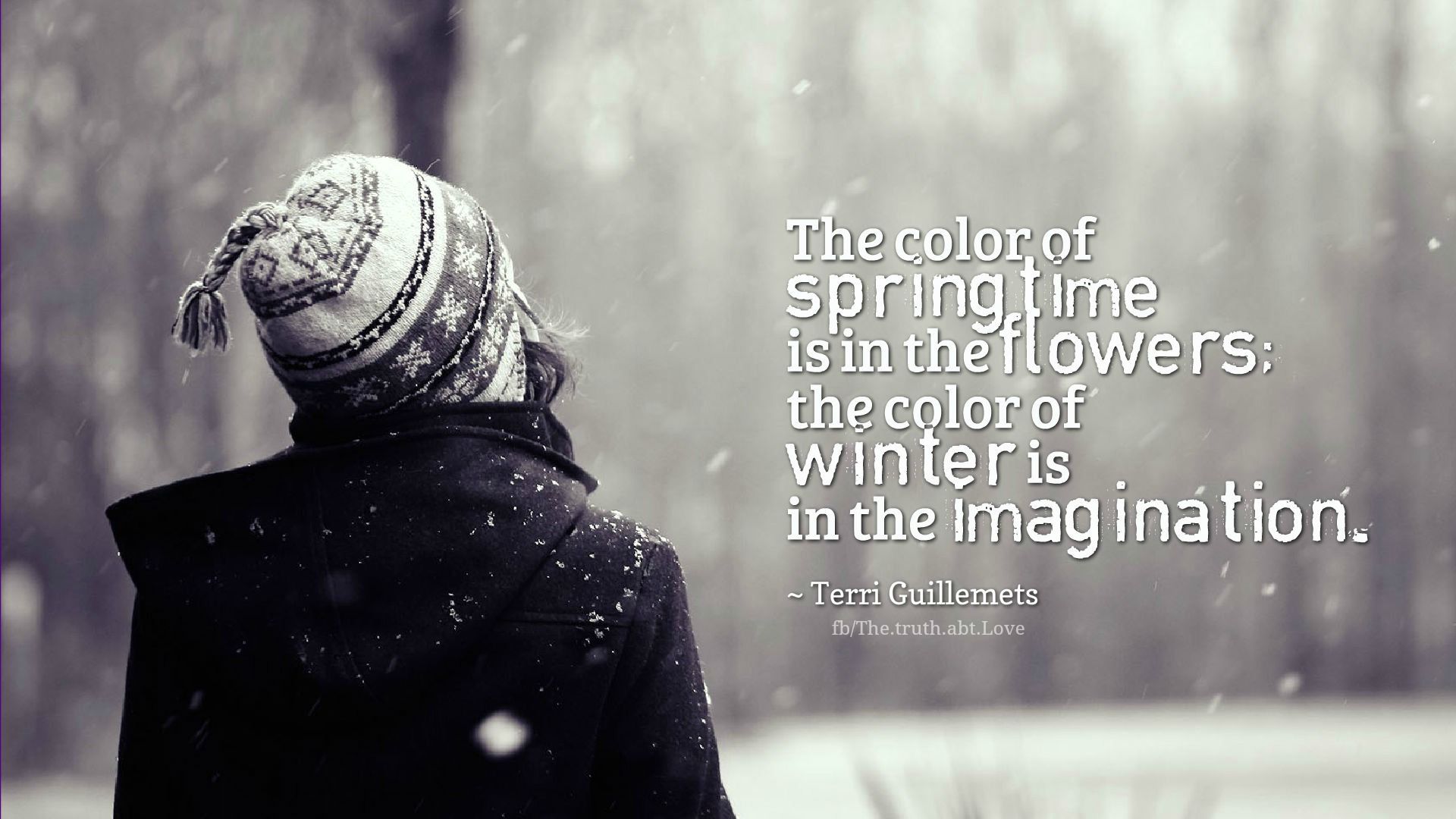 the color of winter the color of winter