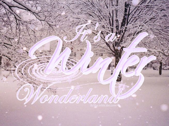 Winter Wonderland Winter Wonderland