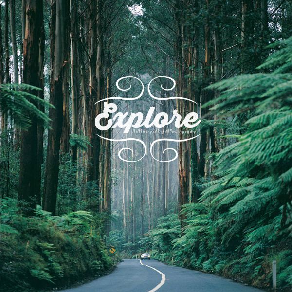  Explore Pictures Photos And Images For Facebook Tumblr Pinterest 