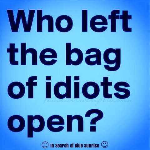 bag of idiots bag of idiots