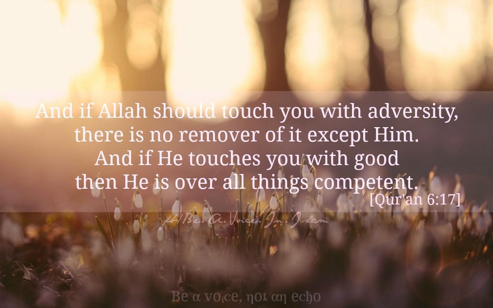 Islam Islam