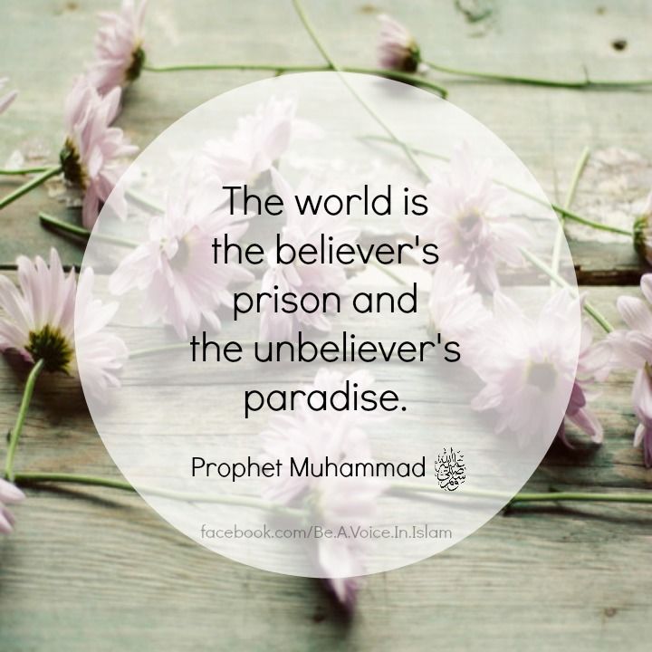 Believer's prison Believer's prison