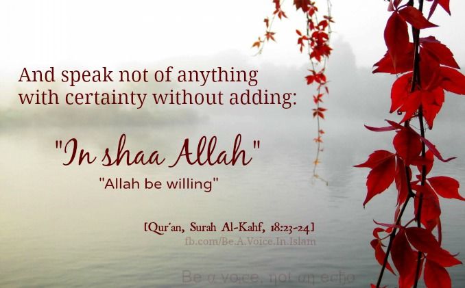 Islam Islam