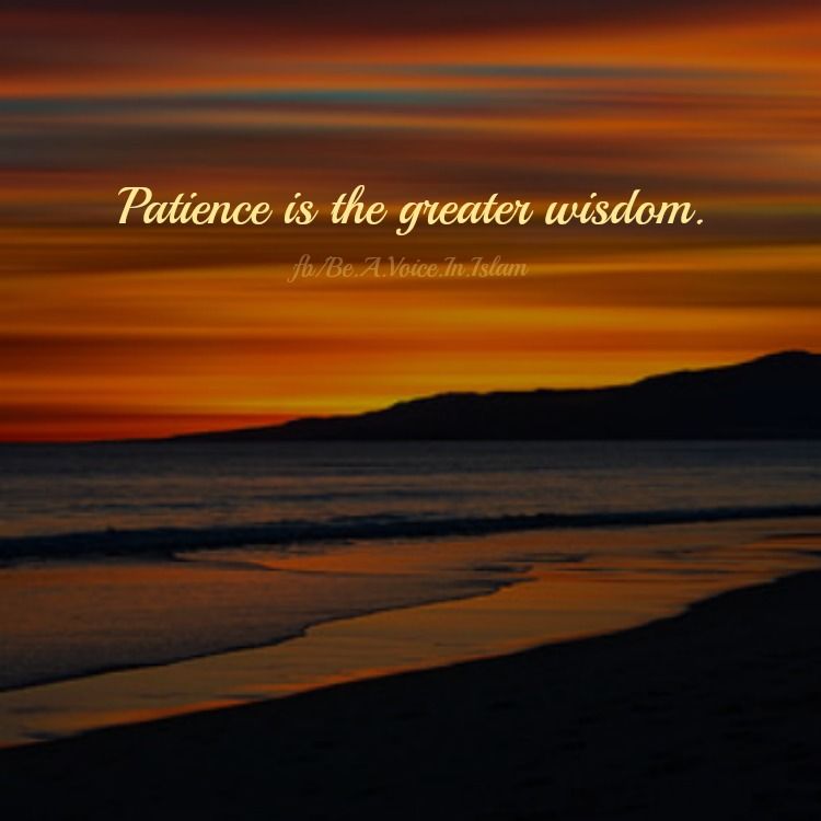 Patience is the greater wisdom Patience is the greater wisdom
