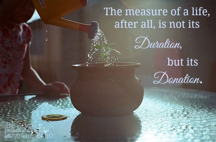The measure of life The measure of life