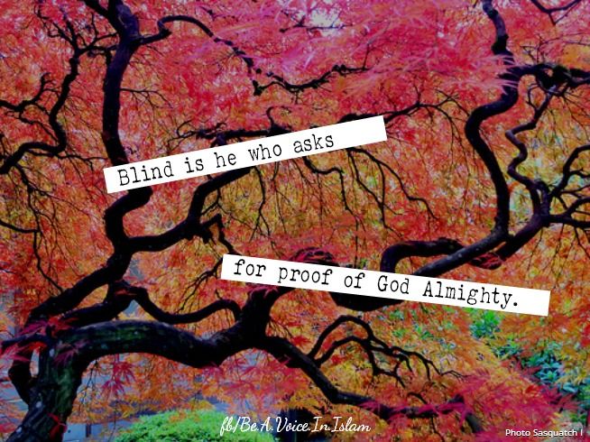 Blind is he
