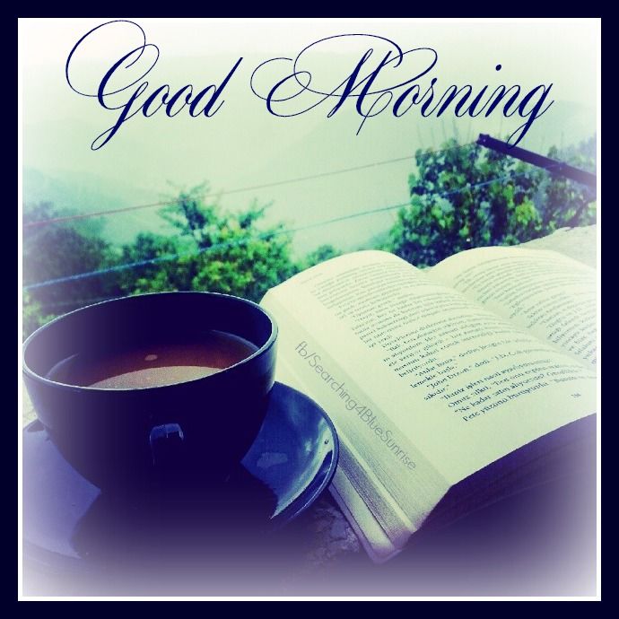 Good morning Good morning