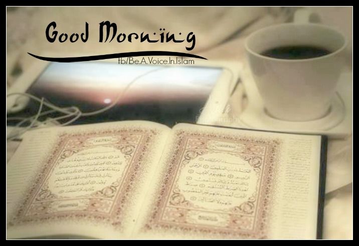 Good morning Good morning
