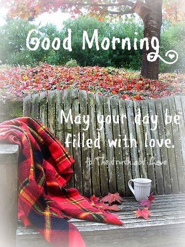 Good morning Good morning