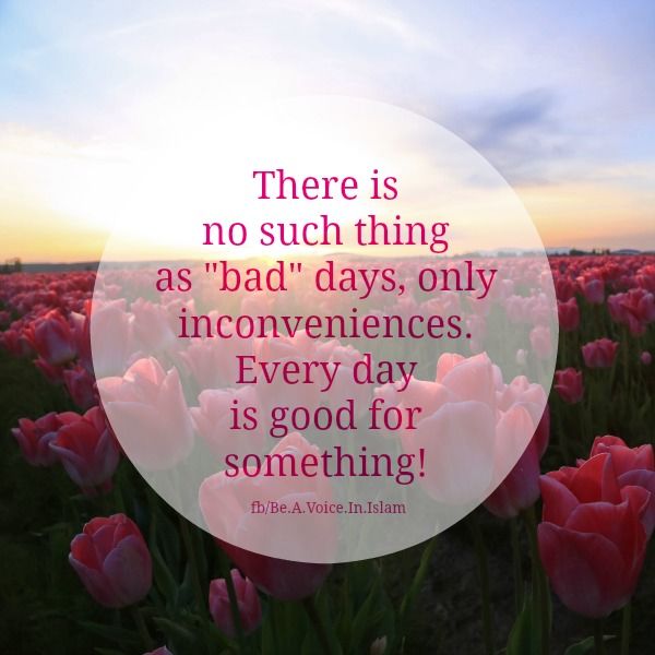 Every day is good for something Every day is good for something