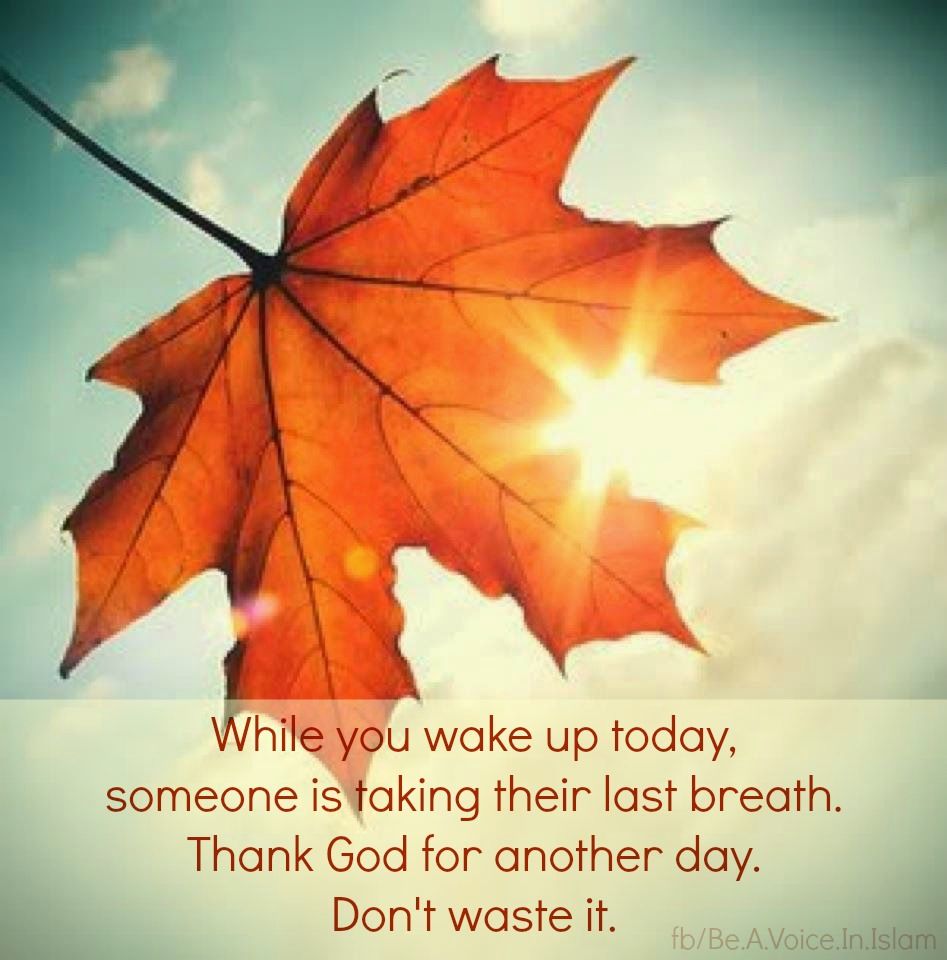 Don't waste this day