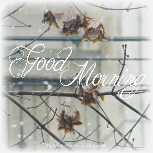 Good morning