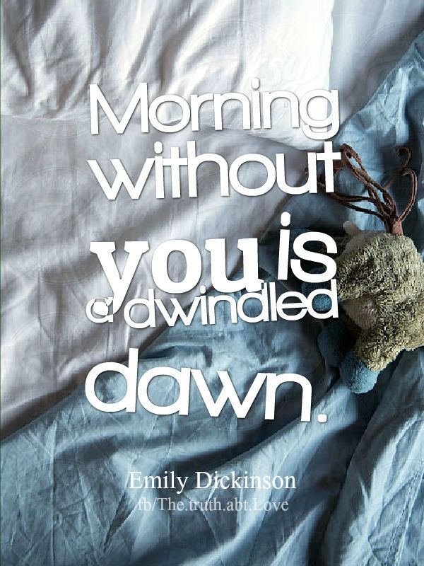 morning without you morning without you