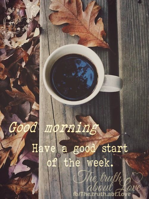 Good morning