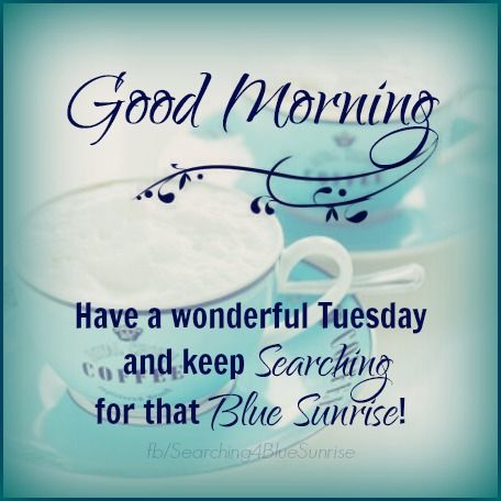 Good morning Good morning