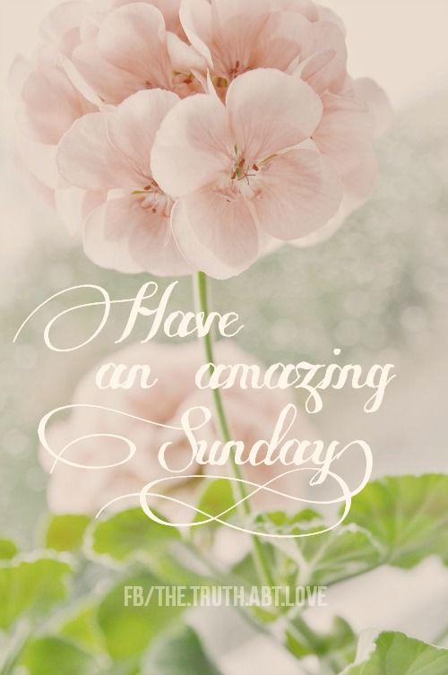 Have an amazing Sunday Have an amazing Sunday