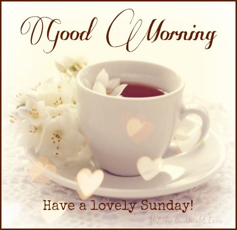 Good morning
