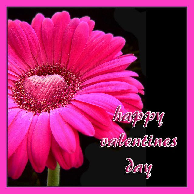 Happy Valentines Day Happy Valentines Day