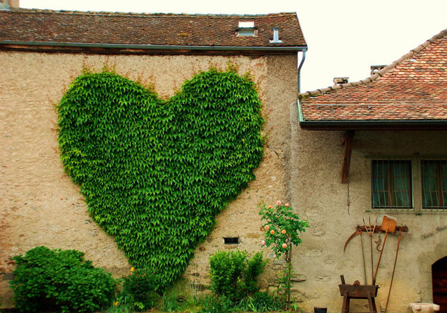 Garden Heart Garden Heart