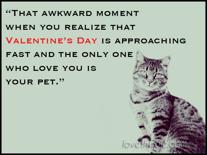 pet pet