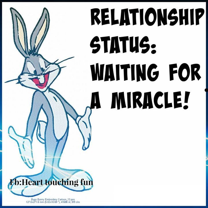 Single Single