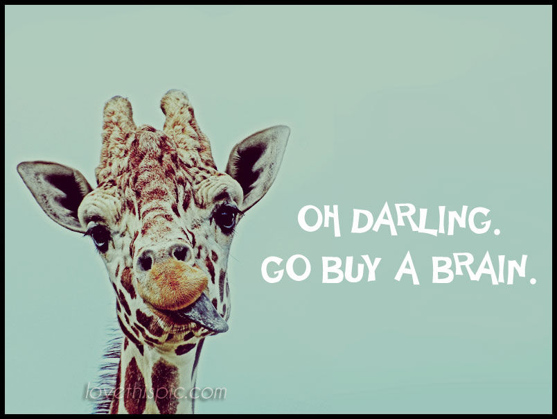Buy a brain 