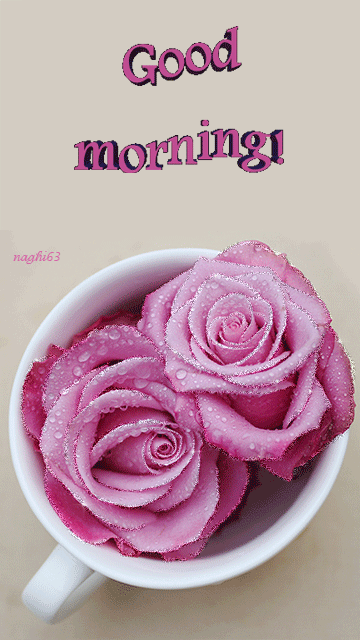 Good Morning Good Morning