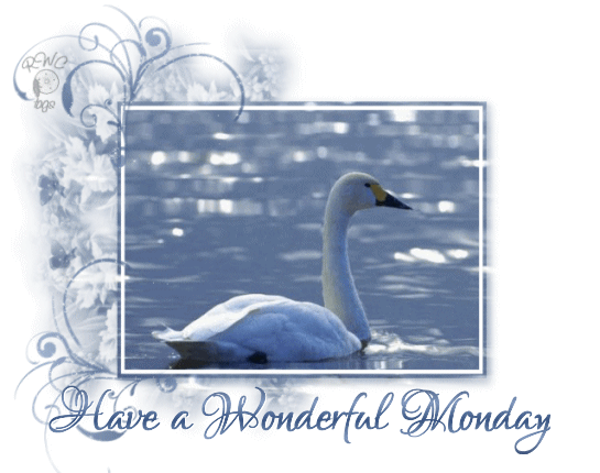 Have a wonderful Monday Have a wonderful Monday
