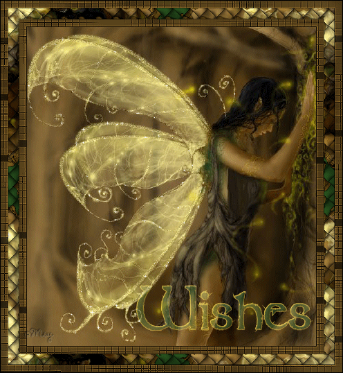 Fairy Wishes Fairy Wishes