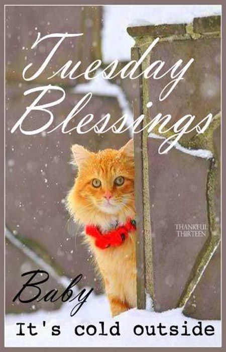 Tuesday Blessings