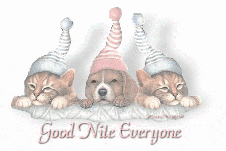 Good Nite Everyone Good Nite Everyone
