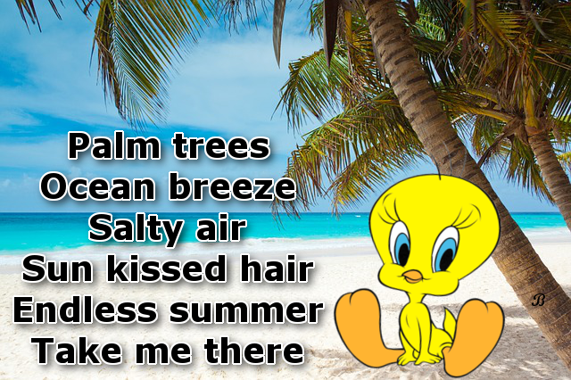 Endless Summer Endless Summer