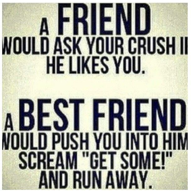 A Best Friend A Best Friend